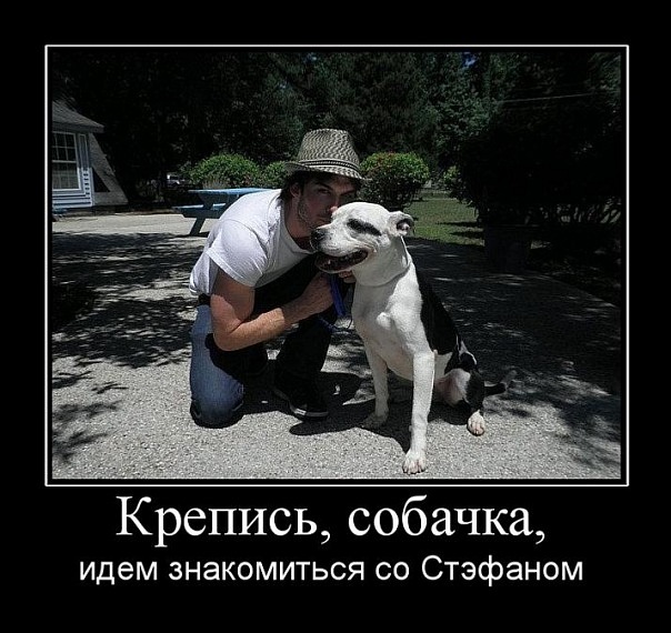 http://cs5043.vkontakte.ru/u17061039/111767715/x_c11e67bb.jpg